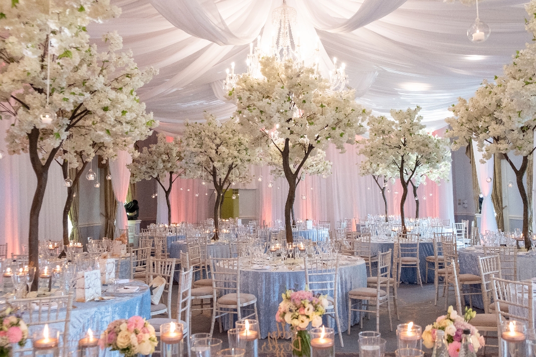 Stapleford Park Wedding Show in January