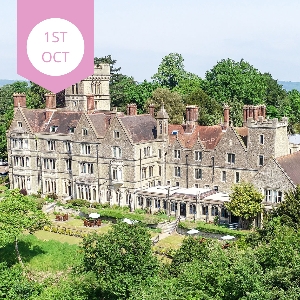 Nutfield Priory Wedding Show