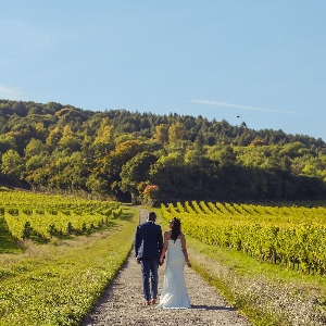 Denbies Wine Estate Wedding Show