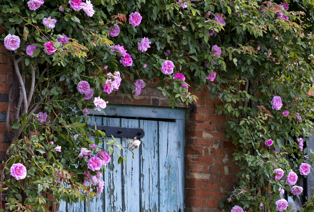 Image 8: The Barn at Alswick Wedding Show