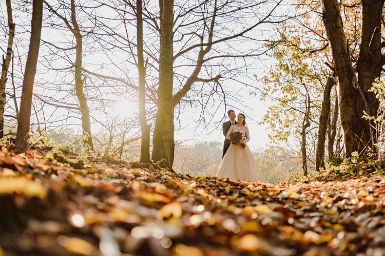 Crondon Park Wedding Show in February