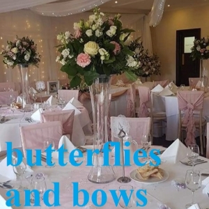 Butterflies and Bows