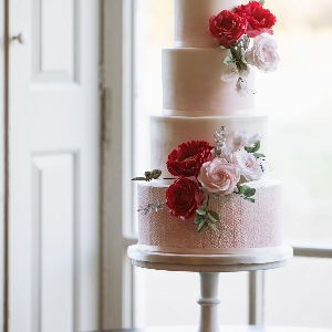 Designer Cakes by Elle