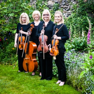 Sole Bay Strings