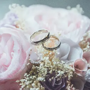County Wedding Events Find a supplier category - Services