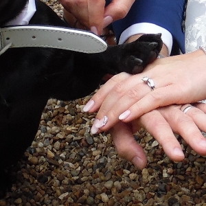 Walkies At Weddings
