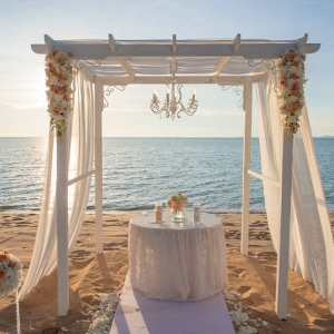 Alison Mees Travel Counsellor