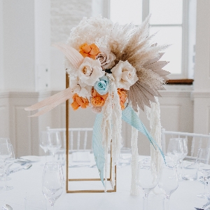 Boho Backdrops