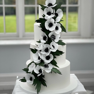 Sassa's Bespoke Cakes