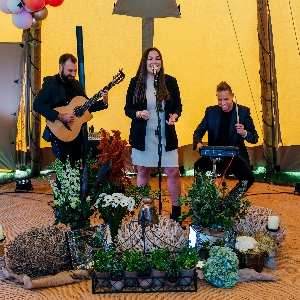 The Collective Band