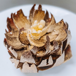 Artist Cake