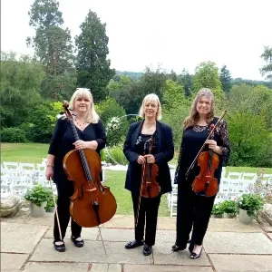 County Wedding Events Find a supplier category - Entertainment