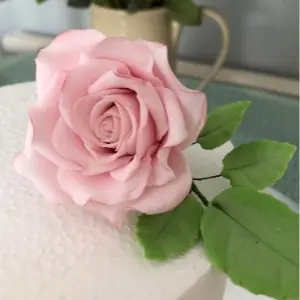 County Wedding Events Find a supplier category - Cakes