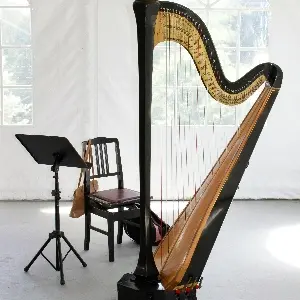 County Wedding Events Find a supplier category - Entertainment