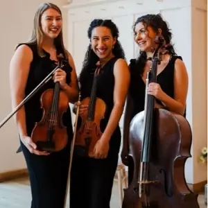 County Wedding Events Find a supplier category - Entertainment