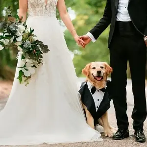 County Wedding Events Find a supplier category - Services