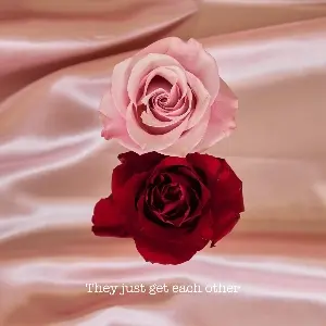 County Wedding Events Find a supplier category - Flowers & bouquets