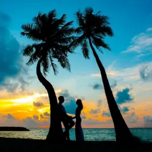 County Wedding Events Find a supplier category - Honeymoon