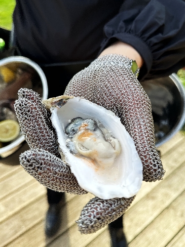 The Oyster Society image