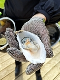 Image 3: The Oyster Society