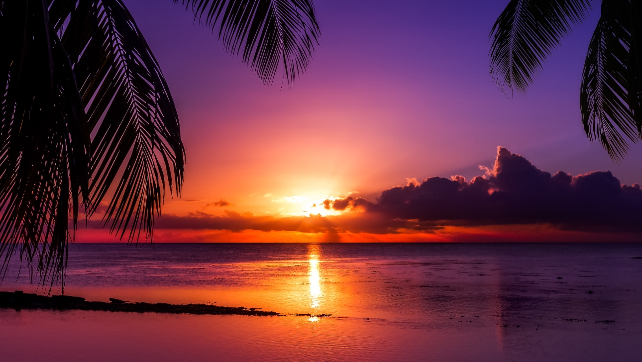 Plan your honeymoon with our Signature Wedding Show exhibitor Travel Antares: Image 3a